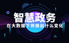 大數(shù)據(jù)下智慧政務的變化有哪些？